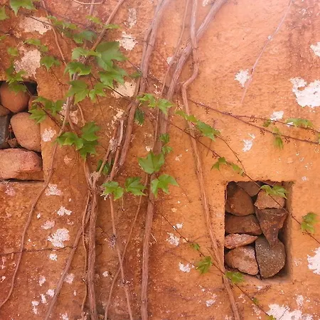 Mediterranean Garden *
