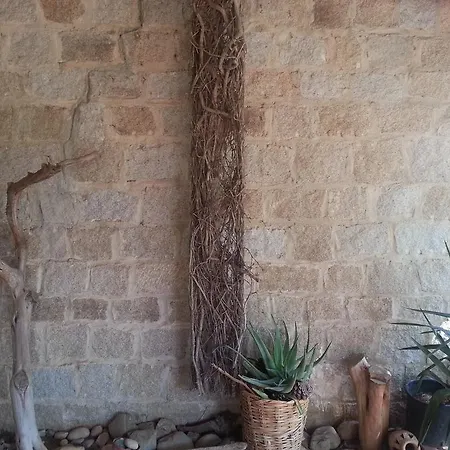 Villa Mediterranean Garden