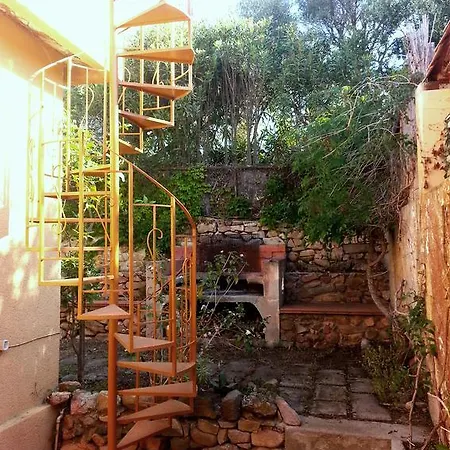 Mediterranean Garden
