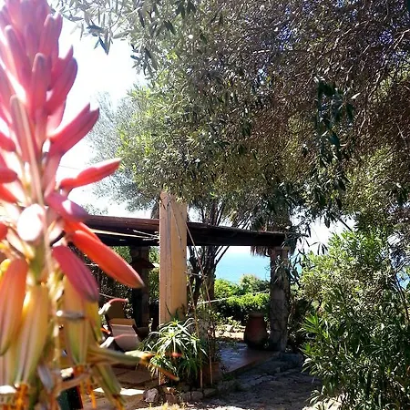 Villa Mediterranean Garden