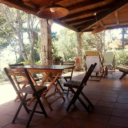 Mediterranean Garden