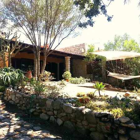 Mediterranean Garden *