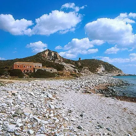 Mediterranean Garden *