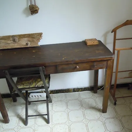 Mediterranean Garden *