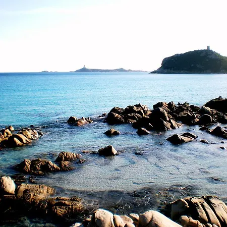 Mediterranean Garden *