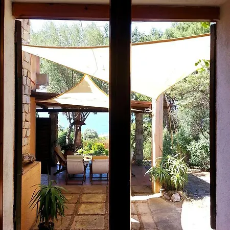 Mediterranean Garden
