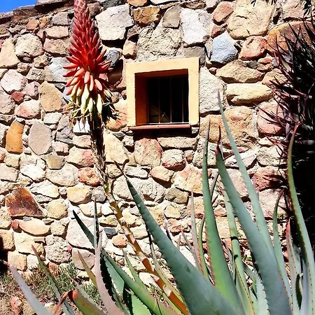 Villa Mediterranean Garden
