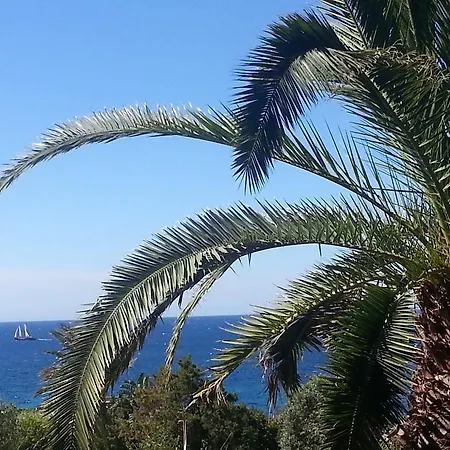 Villa Mediterranean Garden *