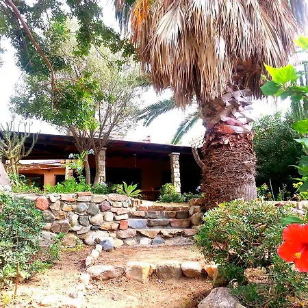 Villa Mediterranean Garden