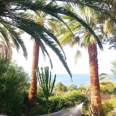 Mediterranean Garden