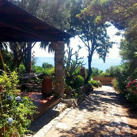 Mediterranean Garden